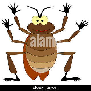 cockroach Stock Photo