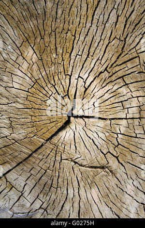 wood Stock Photo