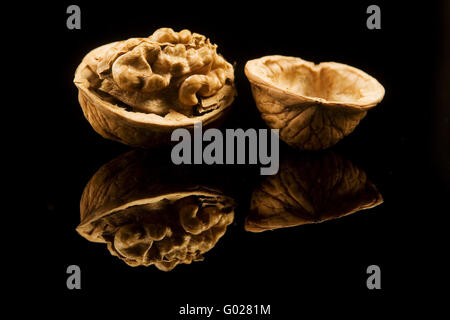 walnut Stock Photo