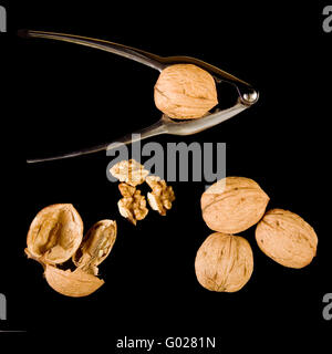walnuts with nutcracker Stock Photo
