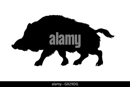 silhouette of the wild  boar isolated on white background Stock Photo