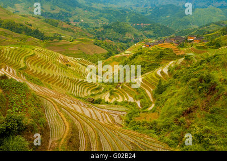 Flooded Rice Terrace Valley Traditional Village Stock Photo