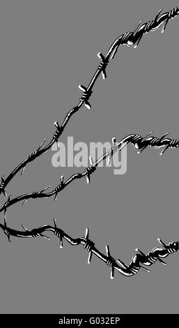 vector illustration of the barbed wire on gray background Stock Photo