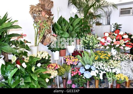 Beautiful flowers in Capri, Italy Stock Photo