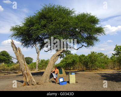 Campsite under an Umbrella Thorn Acacia, Botswana Stock Photo