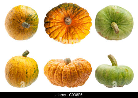 Colourful pumpkins isolated on white background Stock Photo - Alamy