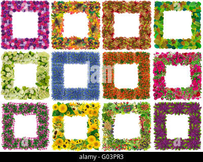 Square simple photo frames from flowers and plants set.  Isolated on white abstract handmade collage. All full size images you c Stock Photo