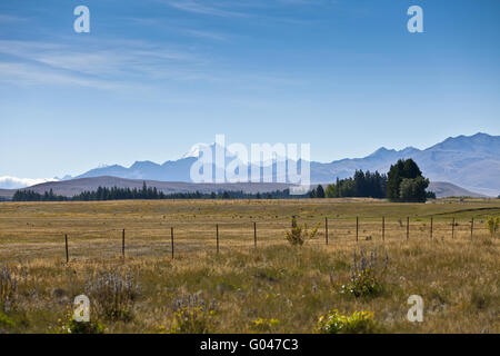 Mackenzie country. Newzealand Stock Photo