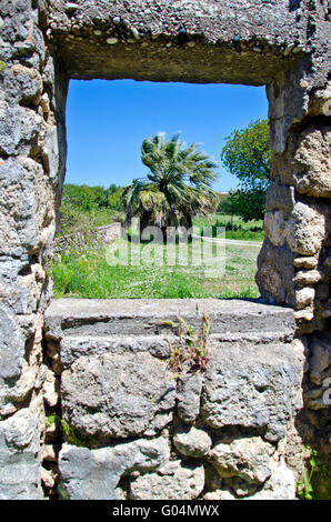 Palm tree through ancient stone wall window on sunny day Stock Photo