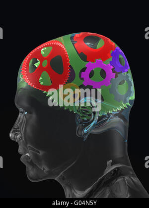 Transparent man's skull with colour curve gears Stock Photo