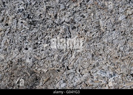 Ashes and pieces of coals - everything that remained from the burned branches and leaves in the wood. Stock Photo