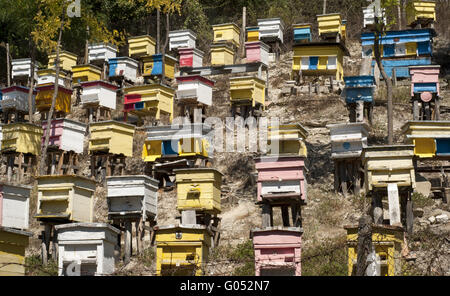 Wooden colored beehives on mountain forest slope Stock Photo