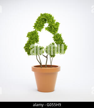 plant in a pot shaped like a recycling symbol Stock Photo