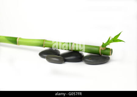 Bamboo Stock Photo
