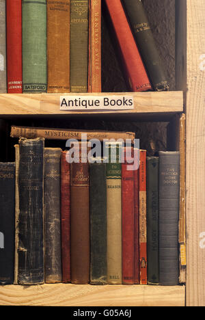 Second-hand bookstore shelf antique books segment Stock Photo