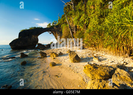 Natural Bridge Landmark Beach High Tide Bushes Stock Photo