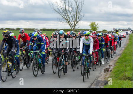 The peloton of riders on stage one of the Tour de Yorkshire between Beverley and South Dalton in East Yorkshire Stock Photo