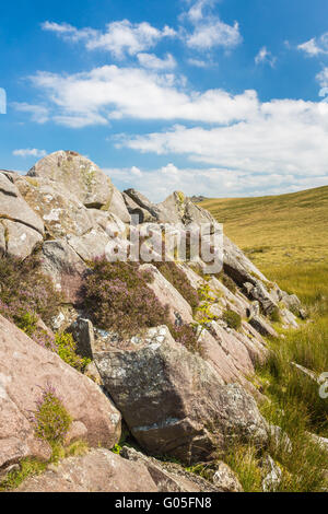 Carn Goedog in the Preseli Mountains of Wales, source of stone for ...