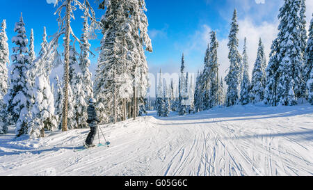 Woman taking a rest on the ski slopes of Sun Peaks ski area surrounded by snow covered tress in the high alpine Stock Photo