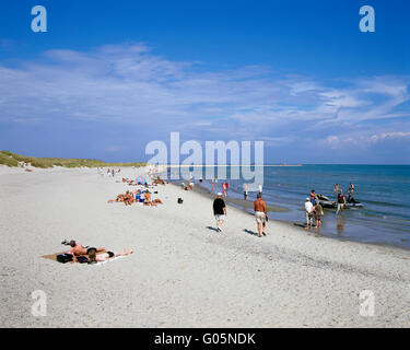 Beach in Grenen near Skagen, northern Jutland, Denmark, Scandinavia, Europe Stock Photo