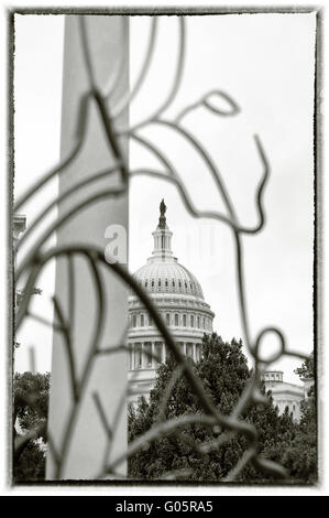 The U.S. Capitol dome. Washington, DC. USA Stock Photo