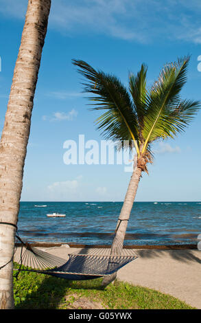 tropical setting with a empty hammock between two palm trees on a beach at Vieux Fort Stock Photo