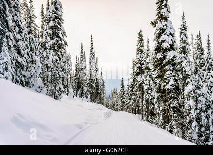 The wonders of a winter landscape with snow covered trees at Sun Peaks village in the Shuswap Highlands of beautiful  British Columbia Stock Photo