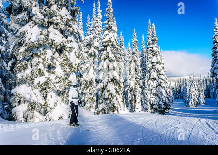 Woman taking a rest on the ski slopes of Sun Peaks ski area surrounded by snow covered tress in the high alpine Stock Photo