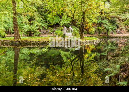 Alfred Nicholas memorial gardens - beautiful lake with wooden footbridge and trees reflection in the water Stock Photo