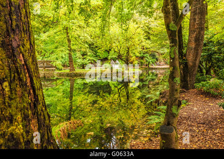 Alfred Nicholas memorial gardens - beautiful lake amongst trees. Autumn scene. Stock Photo
