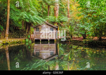Alfred Nicholas memorial gardens - beautiful lake amongst trees with old boat shed. Autumn scene. Stock Photo