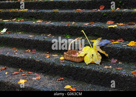 Basket with red and yellow autumn leafs on stone stairs Stock Photo