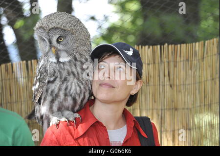 Woman with great grey owl at the Falconry Harz Stock Photo