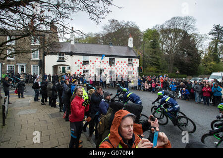 Knaresborough, North Yorkshire. 29 April 2016. Cyclists, on stage 1 of the Tour de Yorkshire 2016, pass the polka-dot house of Tony Handley, the Mayor of Knaresborough, as they head out of the North Yorkshire town and on towards Ripley, on 29 April 2016. Credit:  Harry Whitehead/Alamy Live News Stock Photo