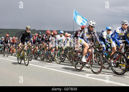 Harewood, England 30th April 2016. the main peloton climbs towards the summit of Cote de Harewood over a minuite behind the lead riders Credit: Dan Cooke/Alamy Live News Stock Photo