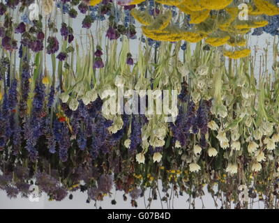 London, UK. 30th April, 2016. First flower installation in the City of London 'The City Garden' created by Rebecca Louise Law in Stock Photo