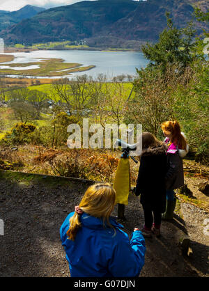 People watching ospreys with telescope from RSPB Osprey Viewing Station at Dodd Wood Bassenthwaite in Lake District Cumbria UK Stock Photo