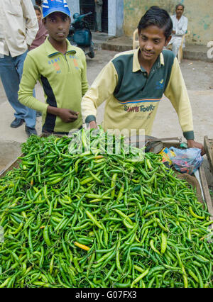 Man selling chili peppers in outdoor vegetable market, Northern India Stock Photo