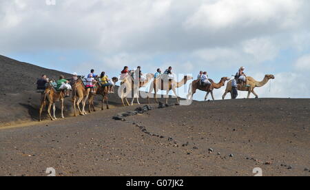 Ride on camels Stock Photo