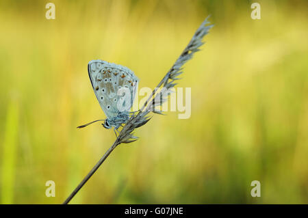 Early in the morning Stock Photo