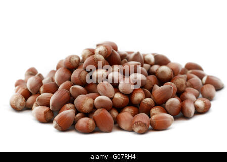 Hazelnut close up isolated on white background Stock Photo