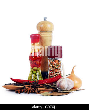Set of various spices isolated on white background Stock Photo