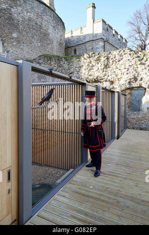 Raven master at feeding time. Ravens Night Enclosures at Tower of London, London, United Kingdom. Architect: llowarch and llowarch architects, 2015. Stock Photo