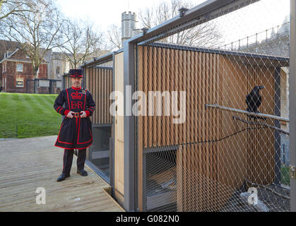 Raven master at feeding time. Ravens Night Enclosures at Tower of London, London, United Kingdom. Architect: llowarch and llowarch architects, 2015. Stock Photo