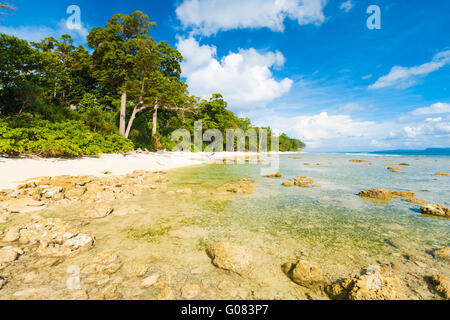 Low Tide Rocks Pristine Untouched Beach Forest Stock Photo