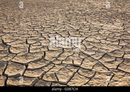 Dry cracked earth background Stock Photo
