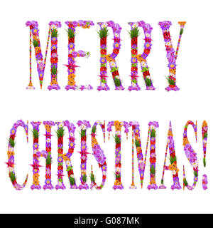 Merry Christmas it is written flowers on lilac l Stock Photo