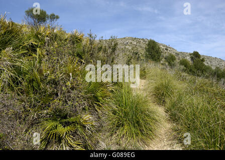 Hiking Trail at Talaia de Alcudia on Mallorca Stock Photo