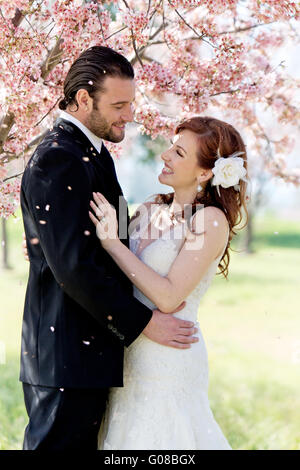 Bride and Groom Under Cherry Blossoms Stock Photo