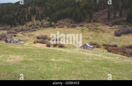Broken down cabins in a beautiful Montana forest. Stock Photo